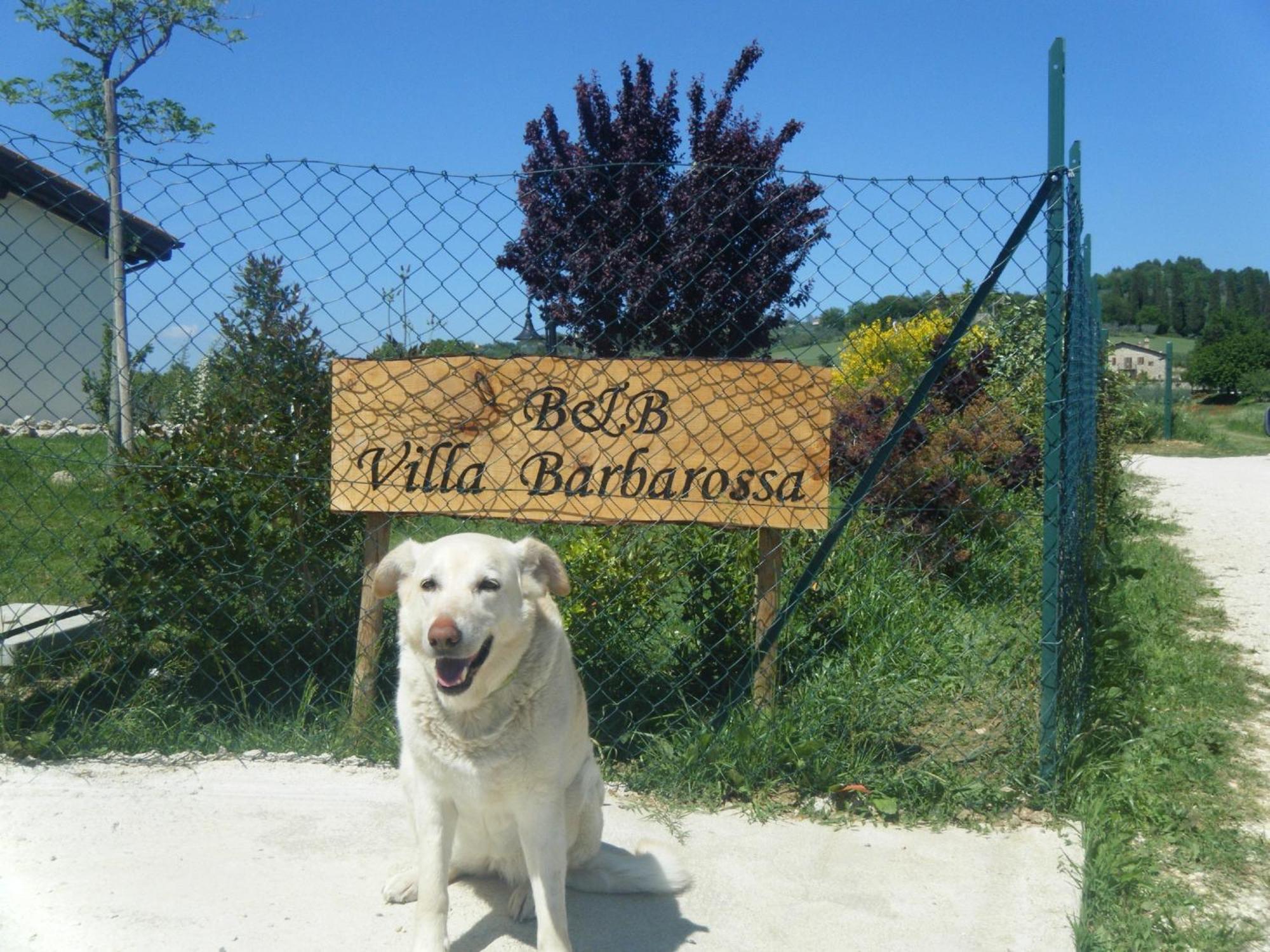 B&B Villa Barbarossa Petrignano Eksteriør billede